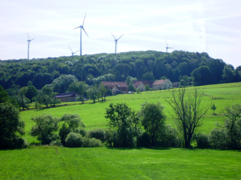 Mariabrunn 2012-06-15 (16)