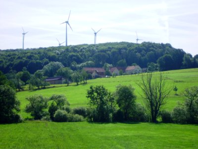 Mariabrunn 2012-06-15 (16)