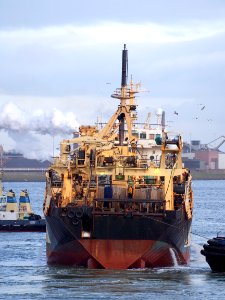 Margiris (ship, 1985) KL 749 Margiris Klaipeda IMO 8301187 into IJmuiden, Amsterdam harbor pic8