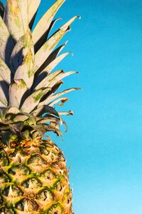 Healthy food pineapple texture