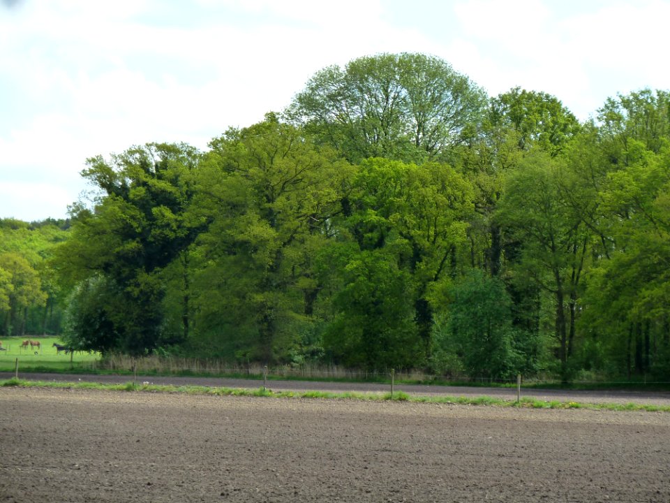 Maria-Hoop-Motte Bollenberg (17)