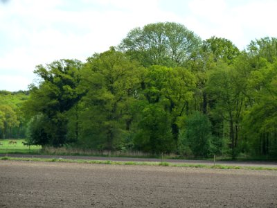 Maria-Hoop-Motte Bollenberg (17)