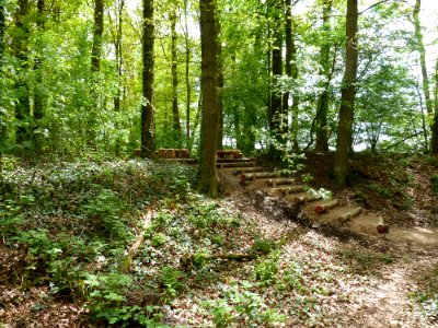 Maria-Hoop-Motte Bollenberg (4)