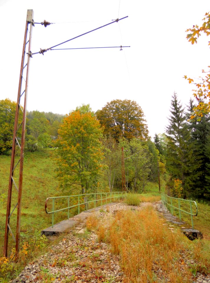Mariazellerbahn-alte-bahntrasse-nach- gusswerk-teichmühle-20120927