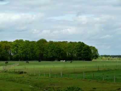 Maria-Hoop-Motte Bollenberg (19)