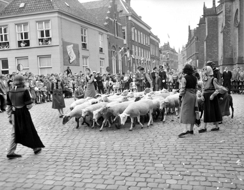 Maria-omgang Den Bosch, Bestanddeelnr 907-8943
