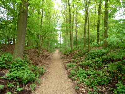 Maria-Hoop-Motte Bollenberg (15)