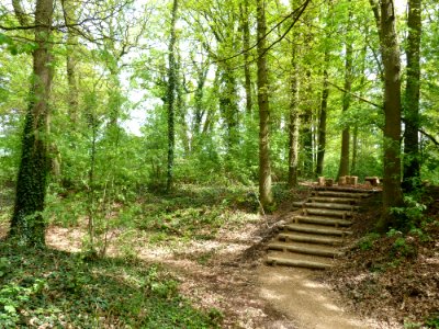 Maria-Hoop-Motte Bollenberg (10)