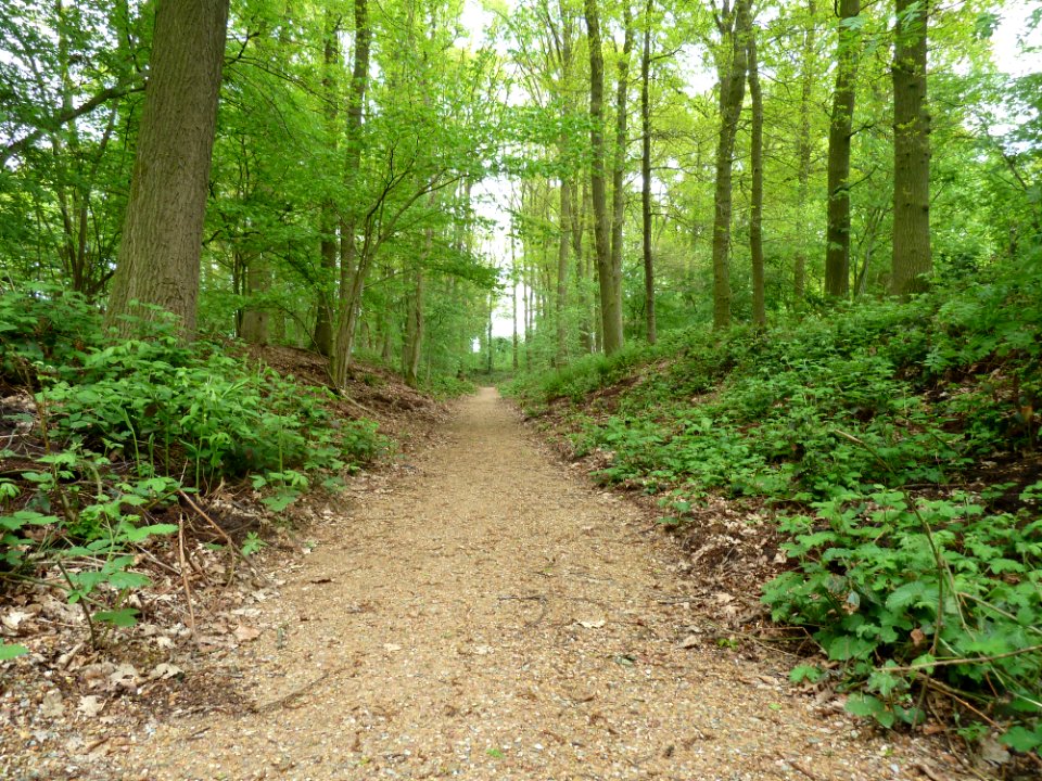 Maria-Hoop-Motte Bollenberg (14)