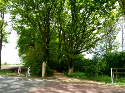 Maria-Hoop-Motte Bollenberg (1)