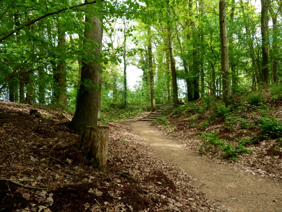 Maria-Hoop-Motte Bollenberg (13)