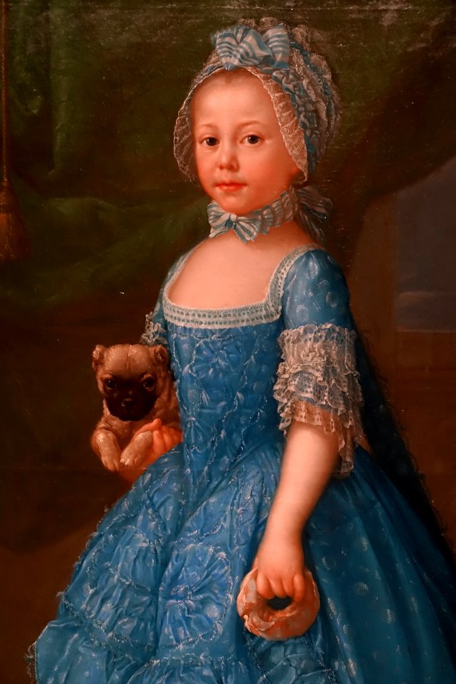 Maria Teresa del Castillo by Francisco Bayeu y Subias, Spanish, detail, c. 1767-1770, oil on canvas - Meadows Museum - Southern Methodist University - DSC05320