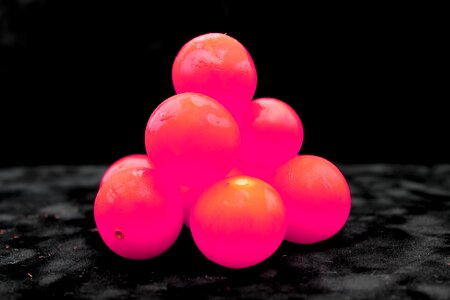 Tomato black fruits black neon