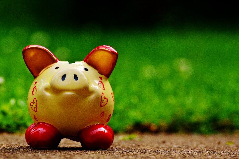 Ceramic save savings bank