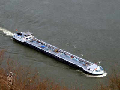 Maria, ENI 02330767 at the Rhine river pic5