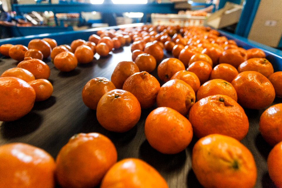 Production packing work