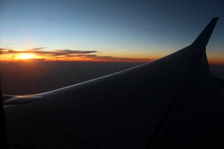 Fly orange sky sunset