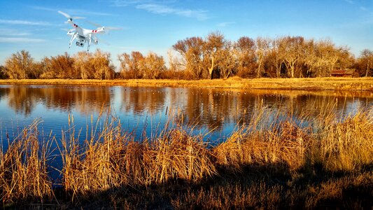 Cattails drone drone video