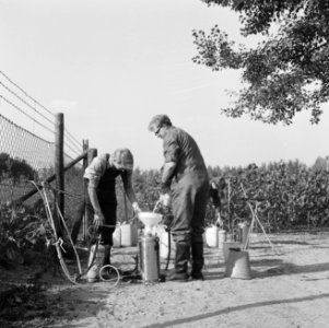 Mannen, struiken, sproeiinstallaties, jerrycans, Bestanddeelnr 253-6329