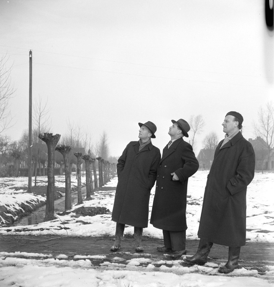 Mannen, sneeuw, kijken, sloten, boomknotten, Bestanddeelnr 251-8729