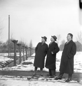 Mannen, sneeuw, kijken, sloten, boomknotten, Bestanddeelnr 251-8729