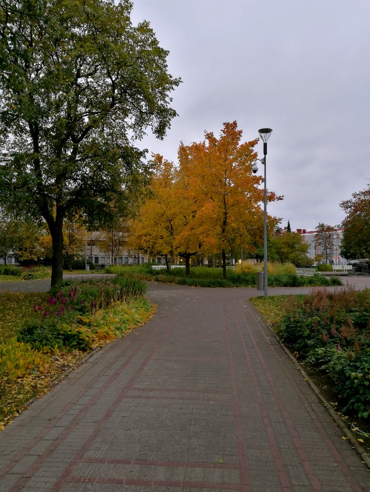Mannerheim Park Oulu 20171003
