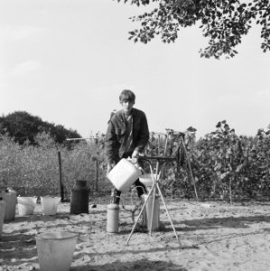 Mannen, struiken, sproeiinstallaties, jerrycans, Bestanddeelnr 253-6328