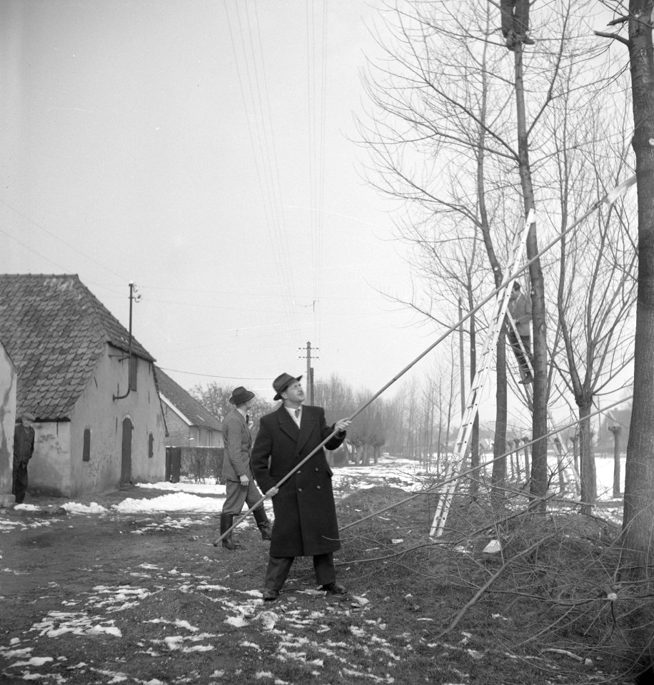 Mannen, sneeuw, huizen, bomen, ladders, gereedschappen, Bestanddeelnr 251-8730