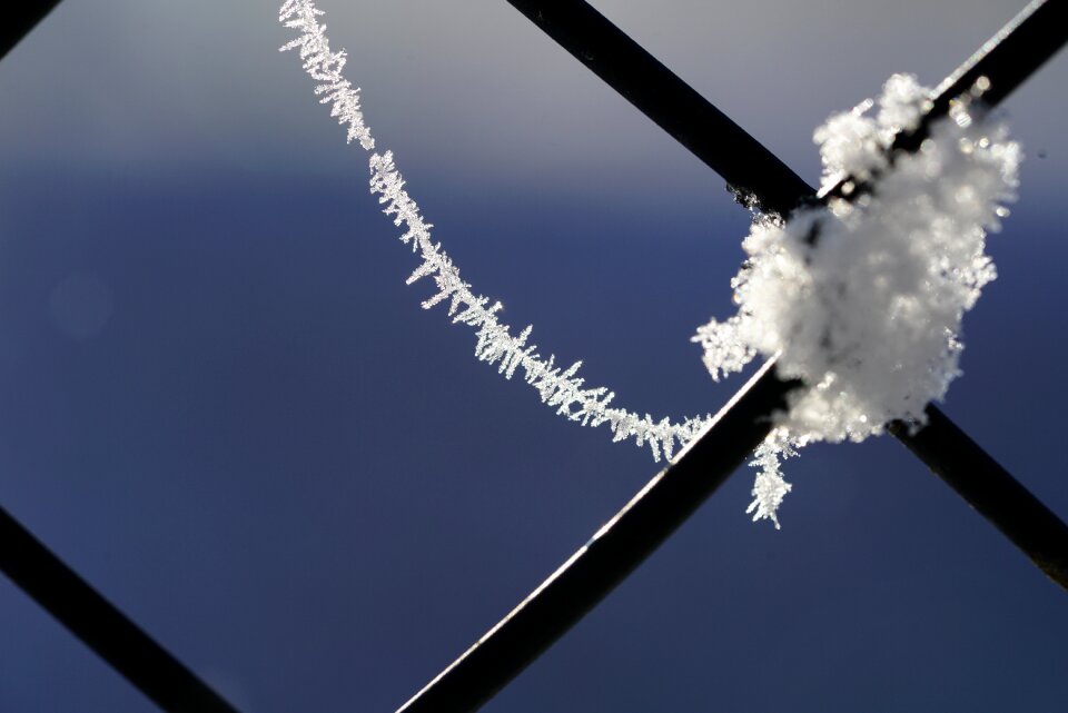 Frozen fence winter