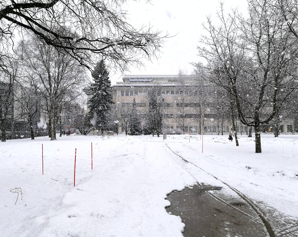 Mannerheim Park Oulu 201703287