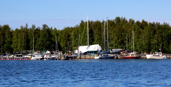 Mansikkanokka Marina Kemi 20120612