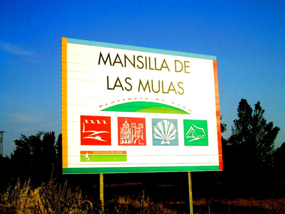 Mansilla de las Mulas 3