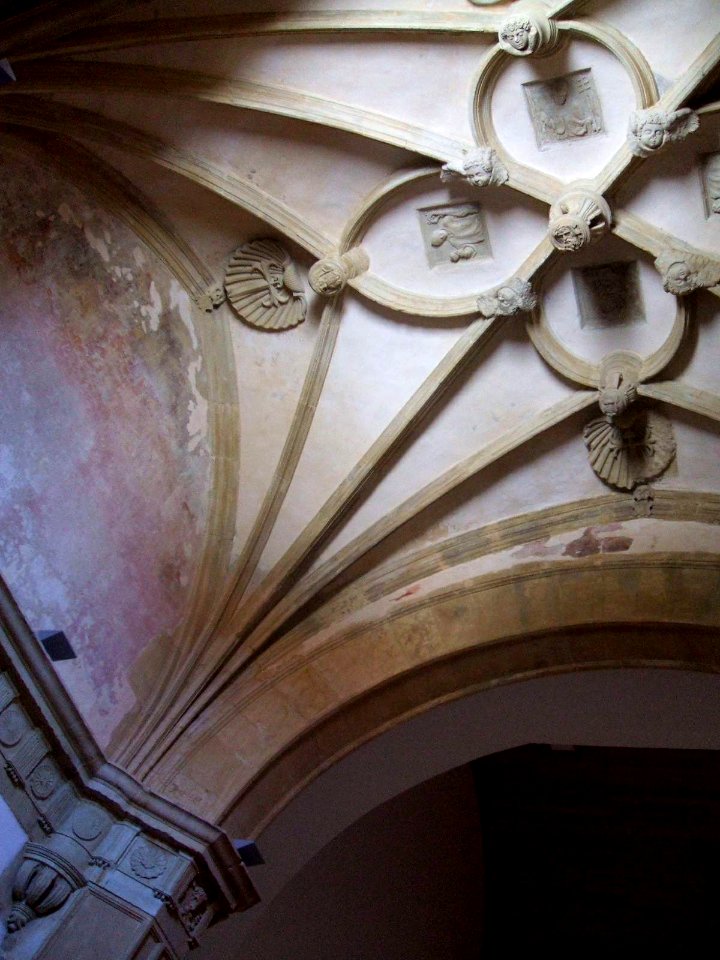 Mansilla de las Mulas - Museo Etnográfico Provincial de León (ex Convento de San Agustin) 04