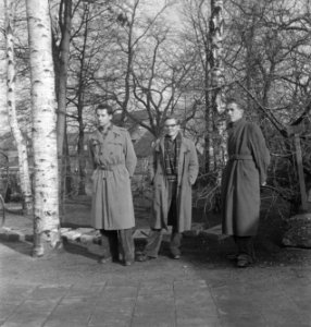 Mannen, bomen, huizen, Bestanddeelnr 251-8386