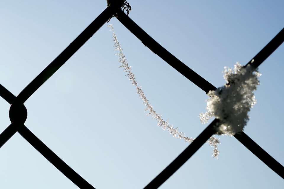 Frozen fence winter