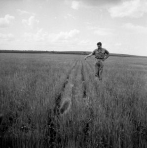 Mannen, Bestanddeelnr 250-8263