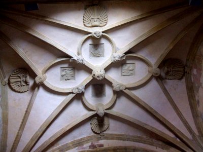 Mansilla de las Mulas - Museo Etnográfico Provincial de León (ex Convento de San Agustin) 03