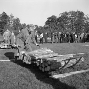 Mannen, grasvelden, planken, kruiwagens, boomstammen, Bestanddeelnr 251-8917