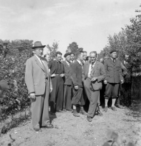 Mannen, bomen, gesprekken, tuinen, Bestanddeelnr 251-7837