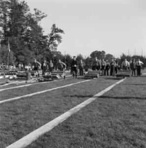 Mannen, grasvelden, planken, kruiwagens, boomstammen, Bestanddeelnr 251-8905