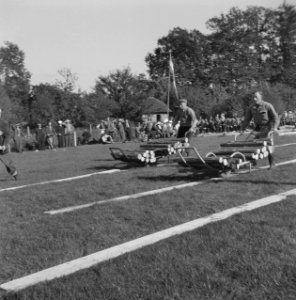 Mannen, grasvelden, planken, kruiwagens, boomstammen, Bestanddeelnr 251-8906