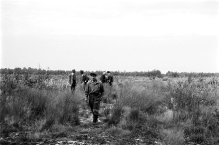 Mannen, grassen, struiken, De Rips, Bestanddeelnr 170-0731