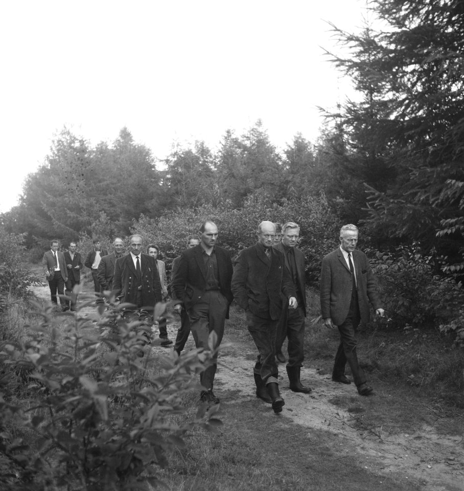 Mannen, bossen, wandelen, Bestanddeelnr 253-6277