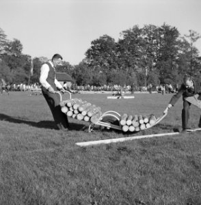 Mannen, grasvelden, planken, kruiwagens, boomstammen, Bestanddeelnr 251-8909