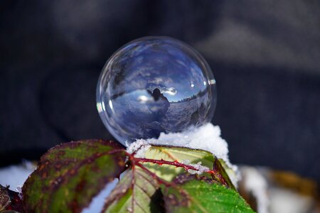 Wintry cold frozen