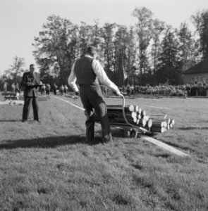 Mannen, grasvelden, planken, kruiwagens, boomstammen, Bestanddeelnr 251-8911