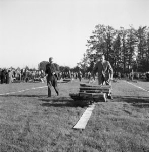 Mannen, grasvelden, planken, kruiwagens, boomstammen, Bestanddeelnr 251-8913