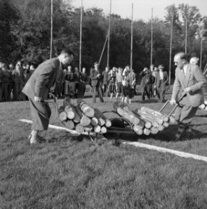 Mannen, grasvelden, planken, kruiwagens, boomstammen, Bestanddeelnr 251-8915