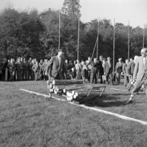 Mannen, grasvelden, planken, kruiwagens, boomstammen, Bestanddeelnr 251-8916