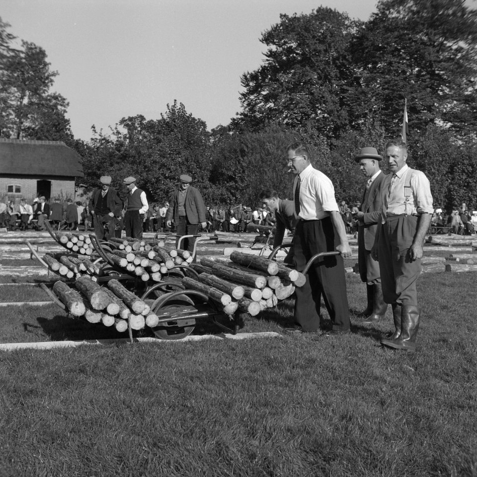Mannen, grasvelden, planken, kruiwagens, boomstammen, Bestanddeelnr 251-8908